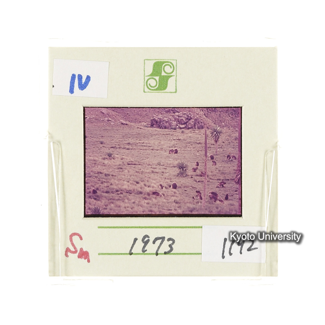 Sm　1973　1192 (2)