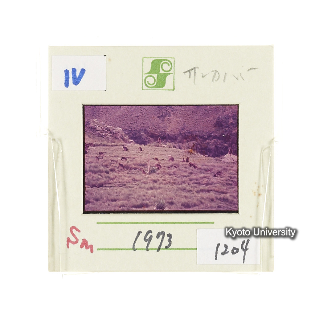 Sm　1973　1204 (2)