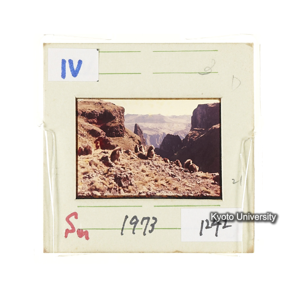 Sm　1973　1242 (2)