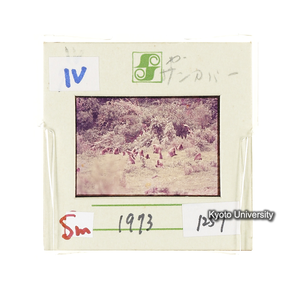 Sm　1973　1257 (2)