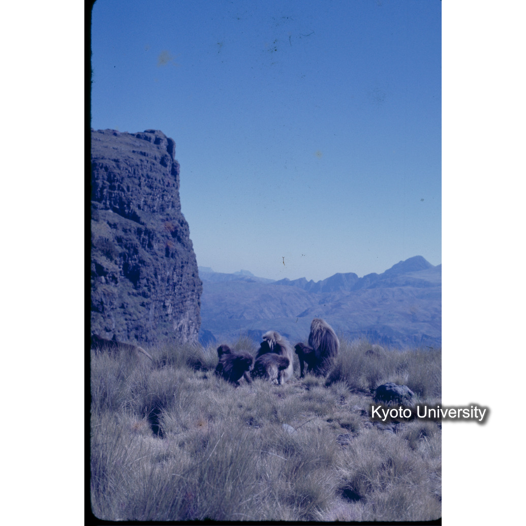 Sm　1973　1258 (1)