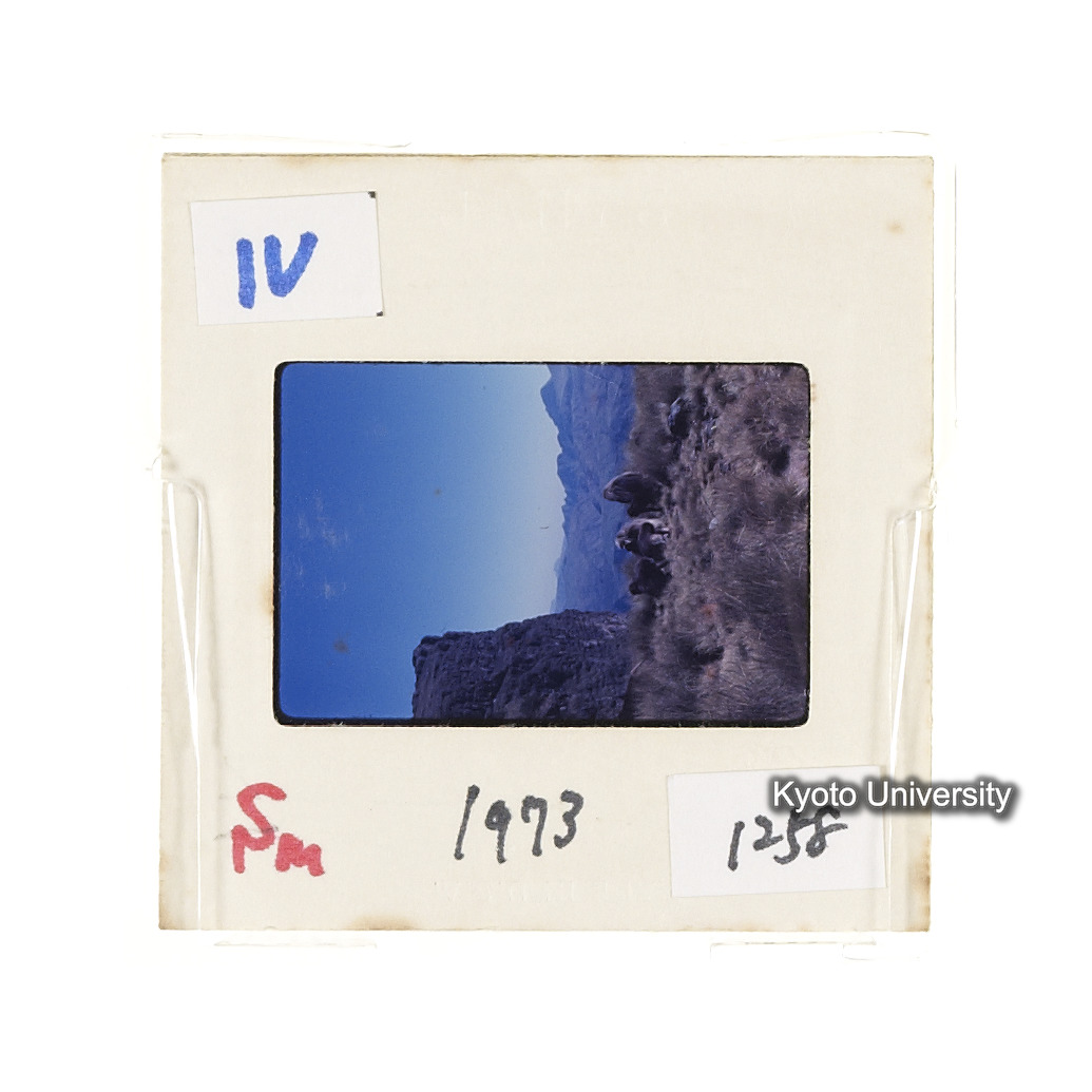 Sm　1973　1258 (2)