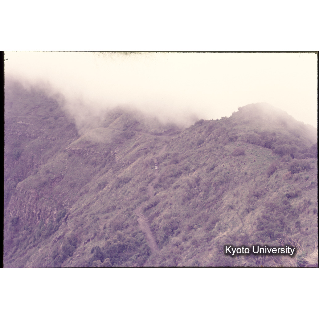 Sm　1973　1269 (1)