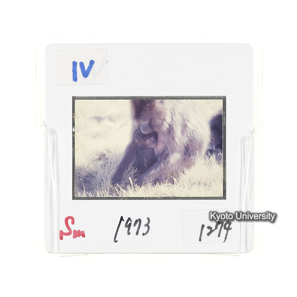 Sm　1973　1274 (2)