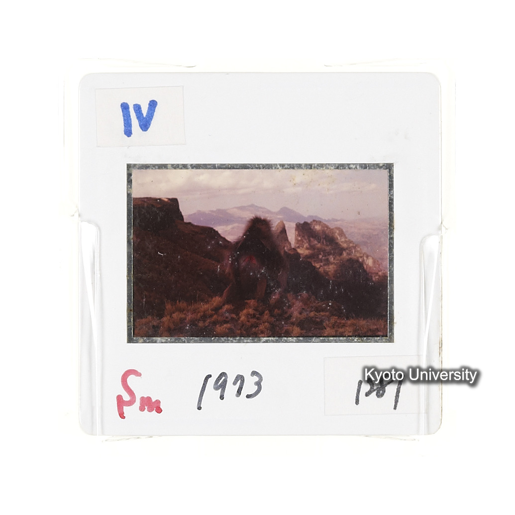 Sm　1973　1281 (2)