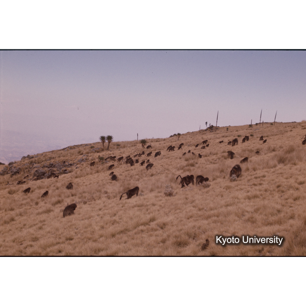 Sm　1973　1283 (1)