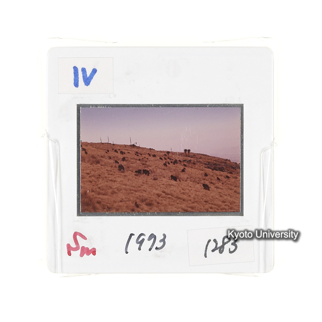 Sm　1973　1283 (2)