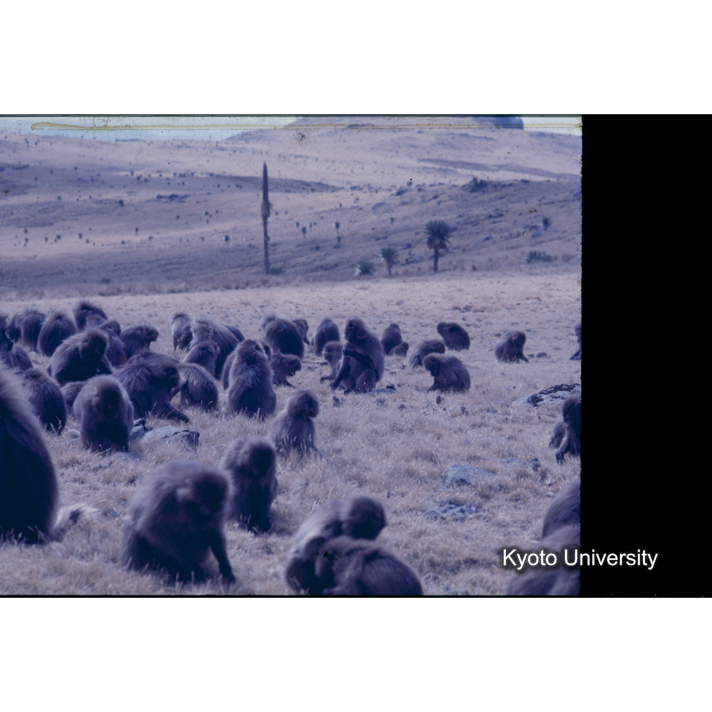 Sm　1973　1284 (1)