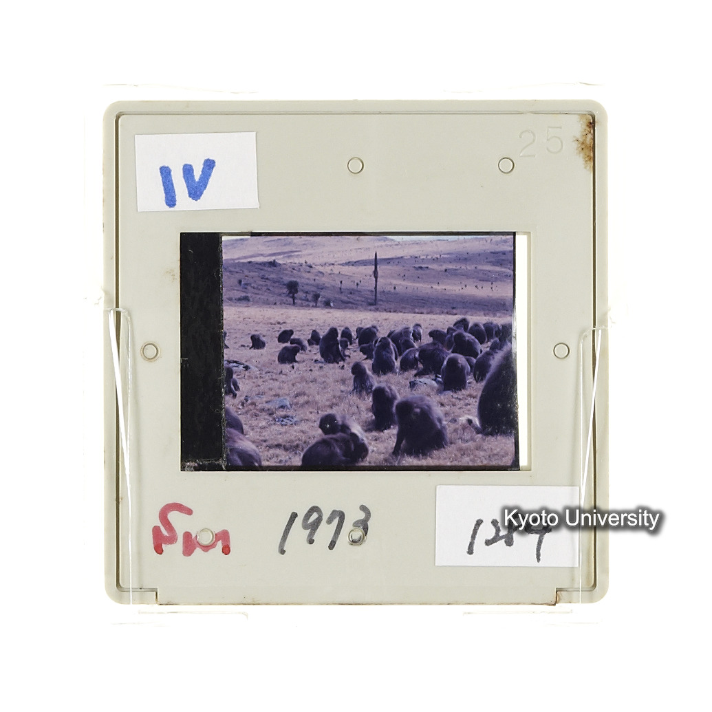 Sm　1973　1284 (2)