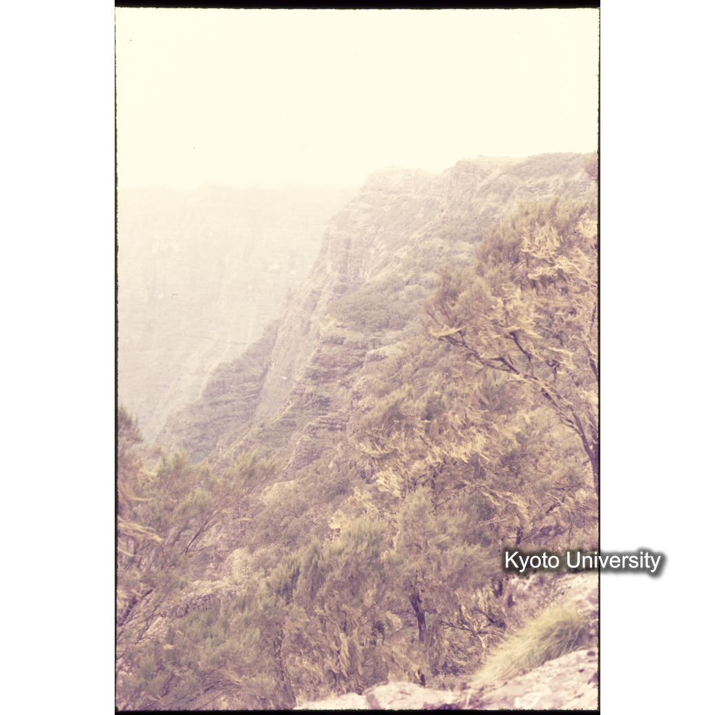 Sm　1973　1301 (1)