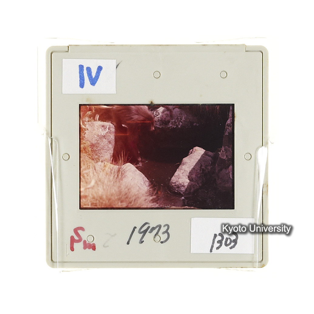 Sm　1973　1303 (2)