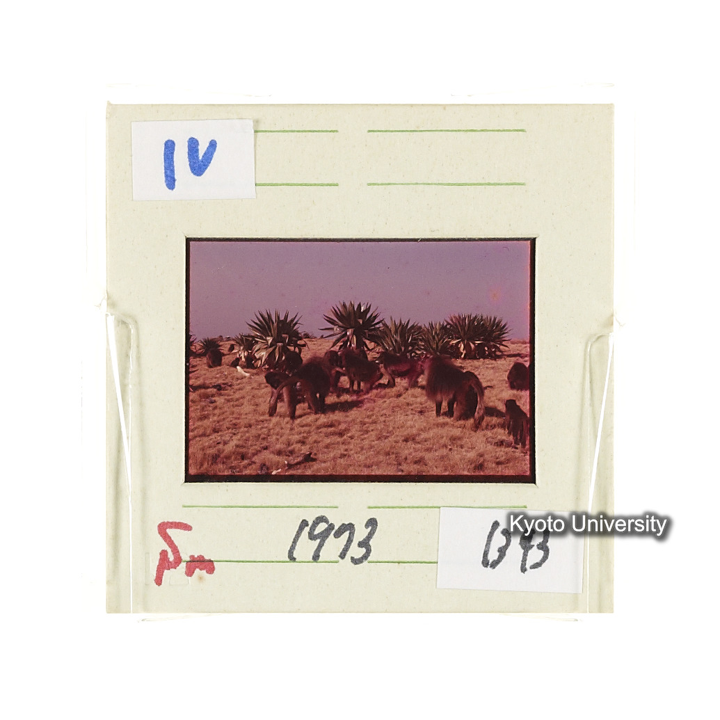 Sm　1973　1343 (2)