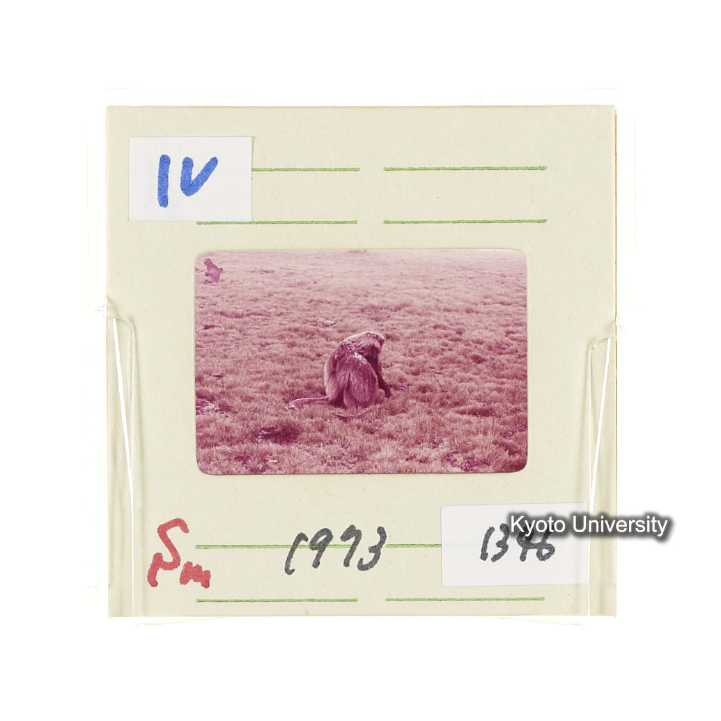 Sm　1973　1346 (2)