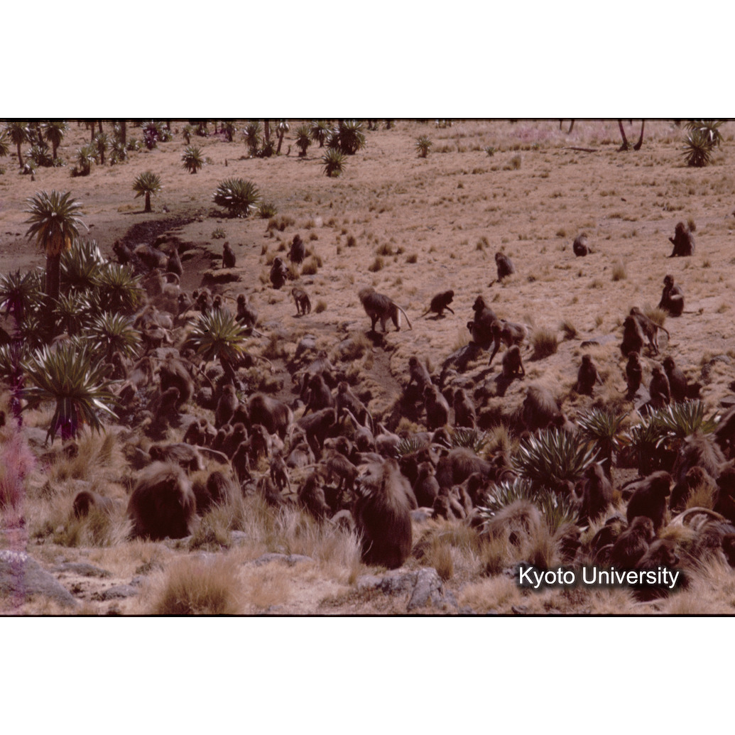 Sm　1973　1368 (1)