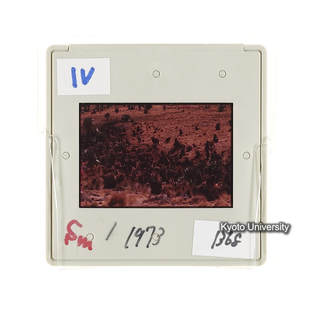 Sm　1973　1368 (2)