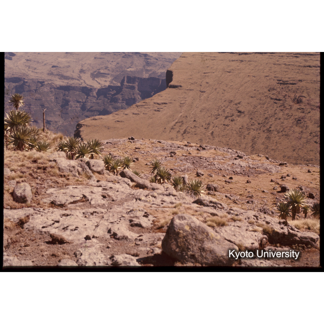 Sm　1973　1374 (1)