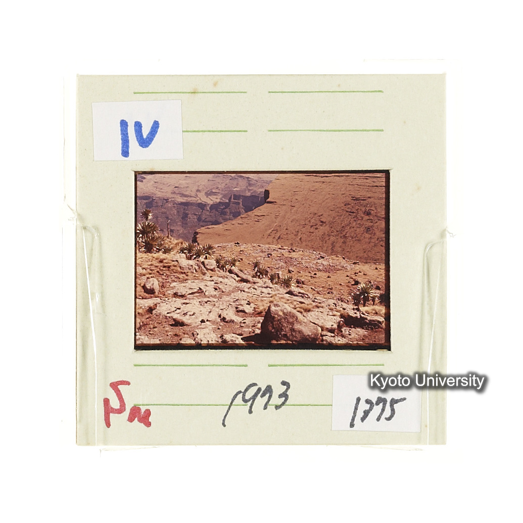 Sm　1973　1374 (2)