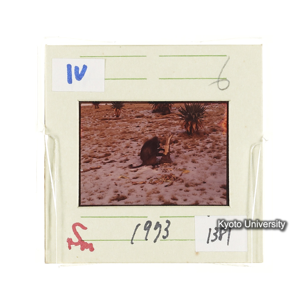 Sm　1973　1381 (2)