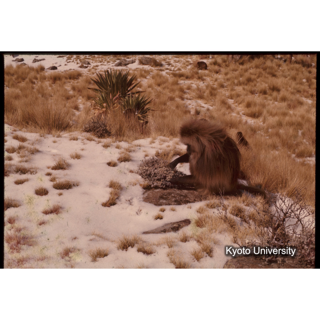 Sm　1973　1399 (1)