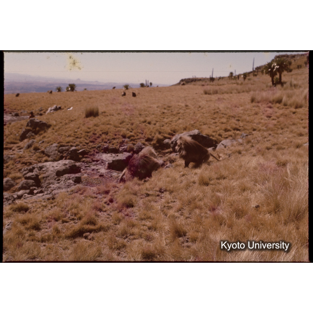 Sm　1973　1398 (1)