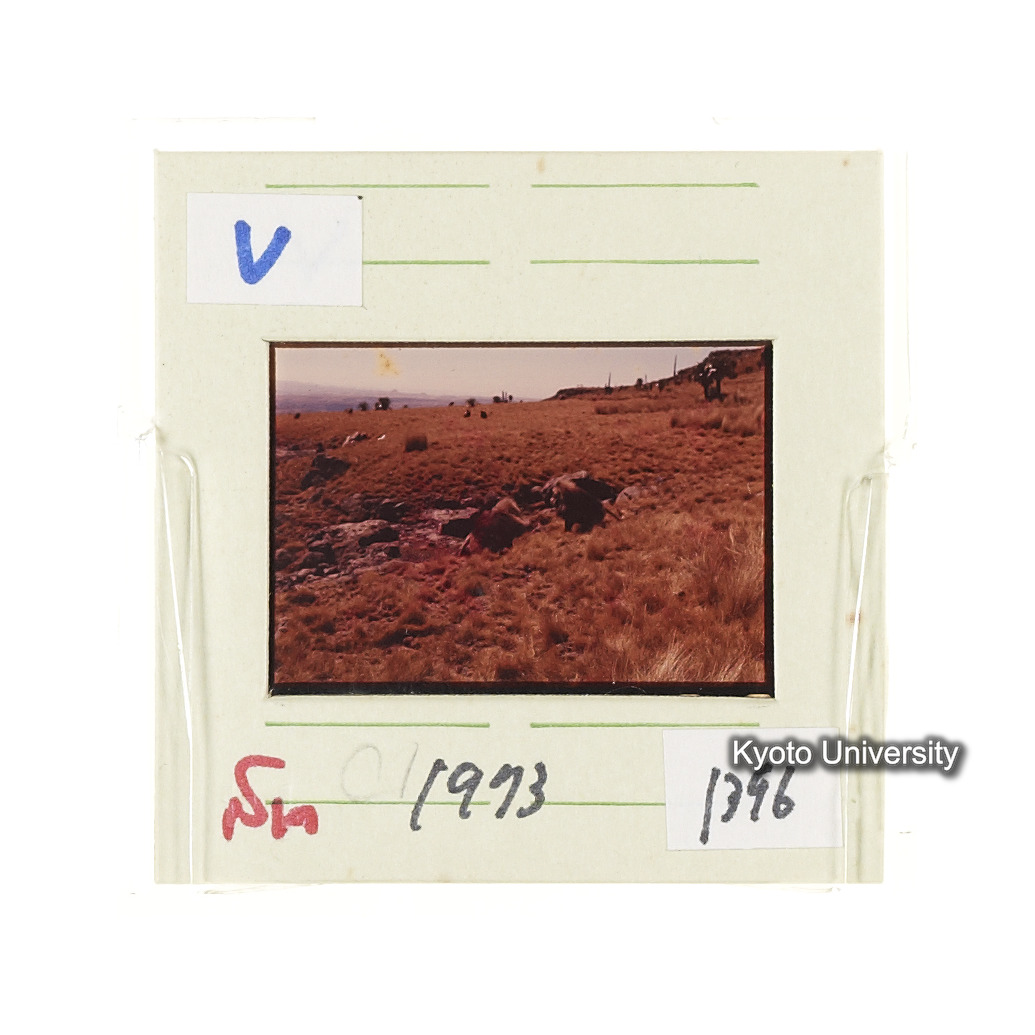 Sm　1973　1398 (2)