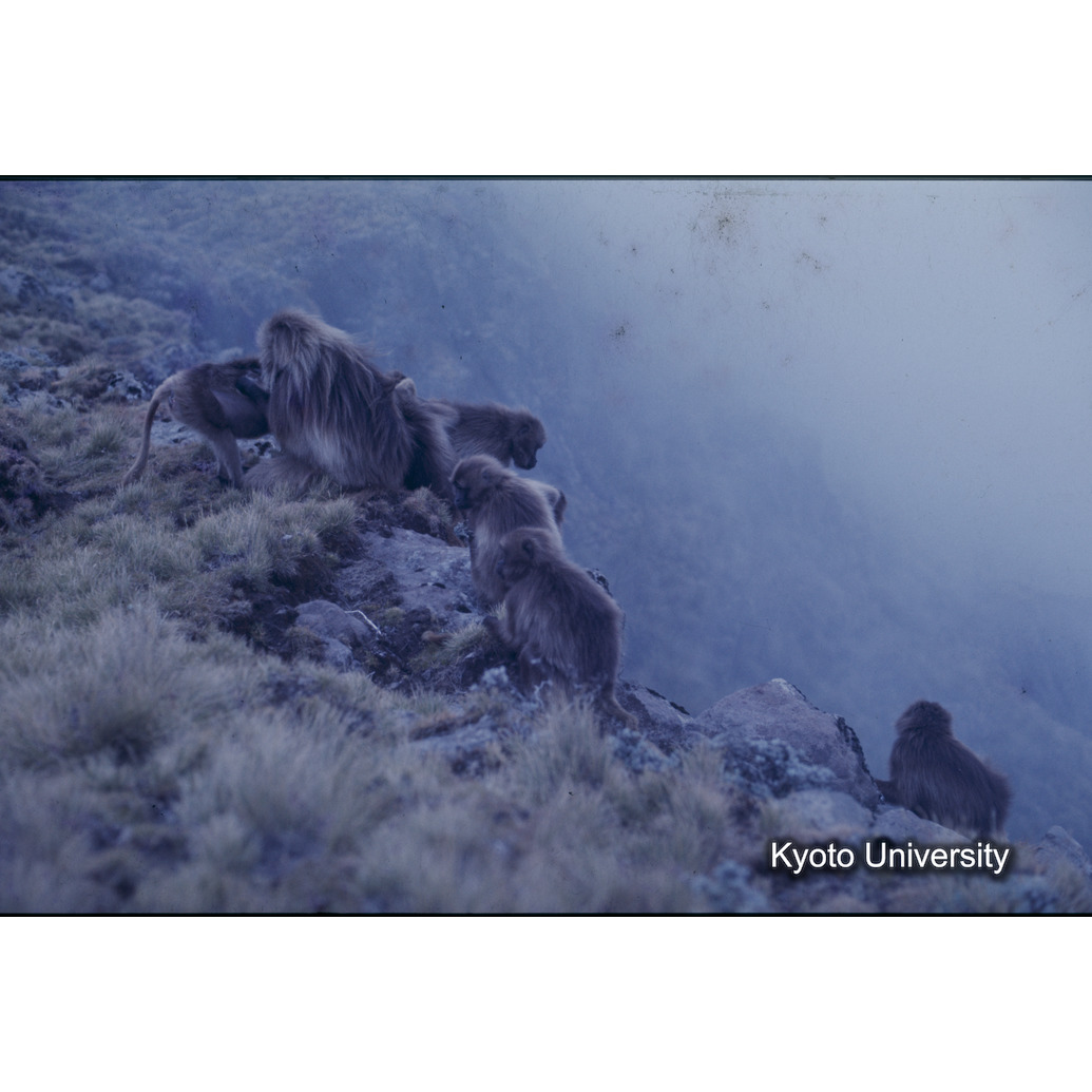 Sm　1973　1415 (1)