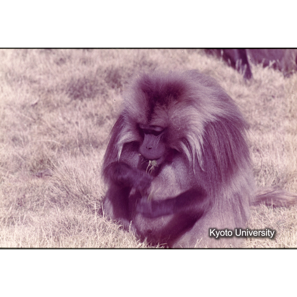 Sm　1973　1419 (1)