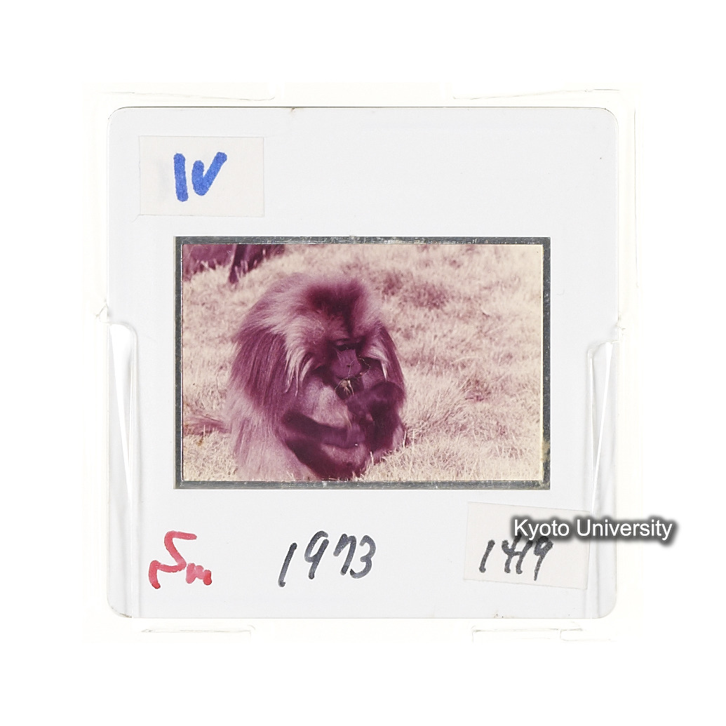 Sm　1973　1419 (2)