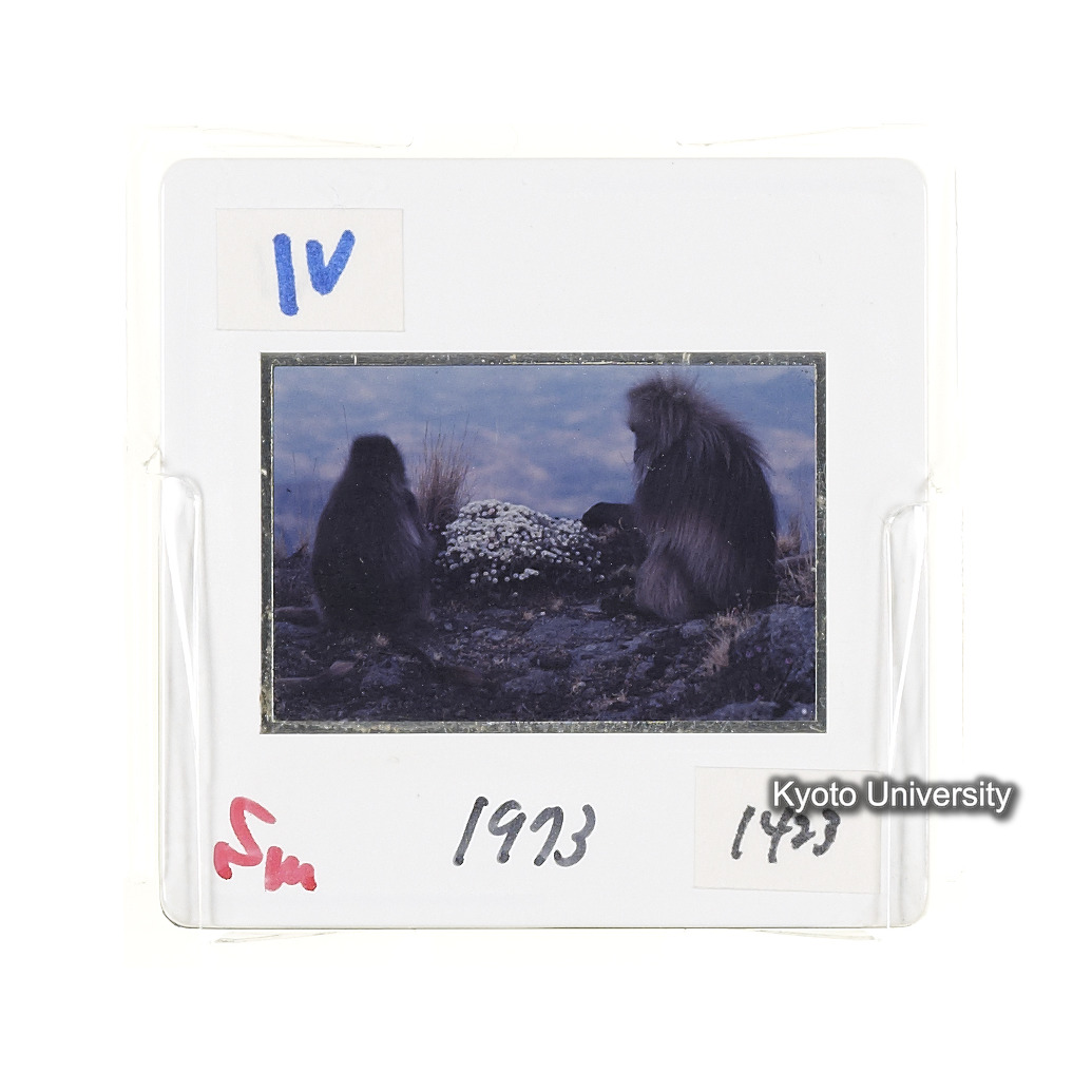 Sm　1973　1423 (2)