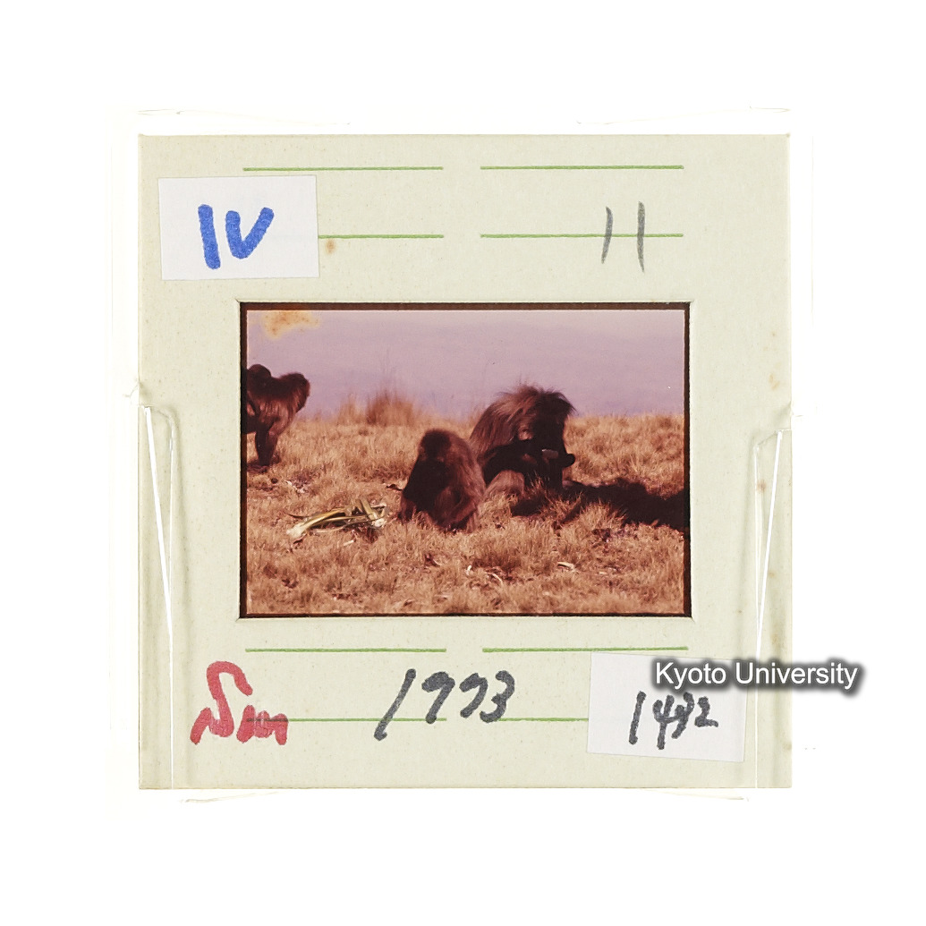 Sm　1973　1432 (2)