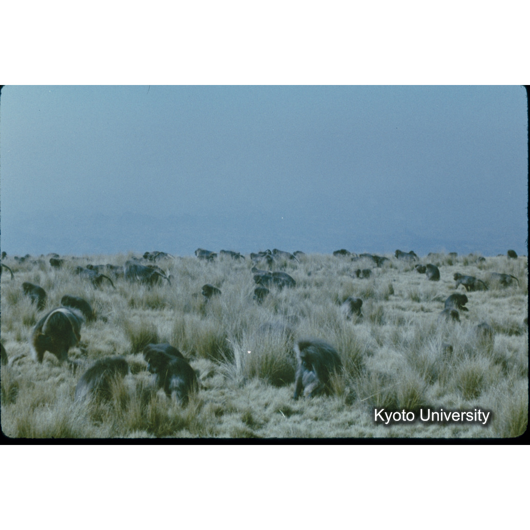 Sm　1973　7　（N）[赤色, 丸囲み] (1)