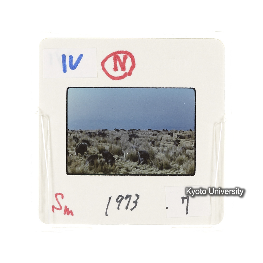 Sm　1973　7　（N）[赤色, 丸囲み] (2)