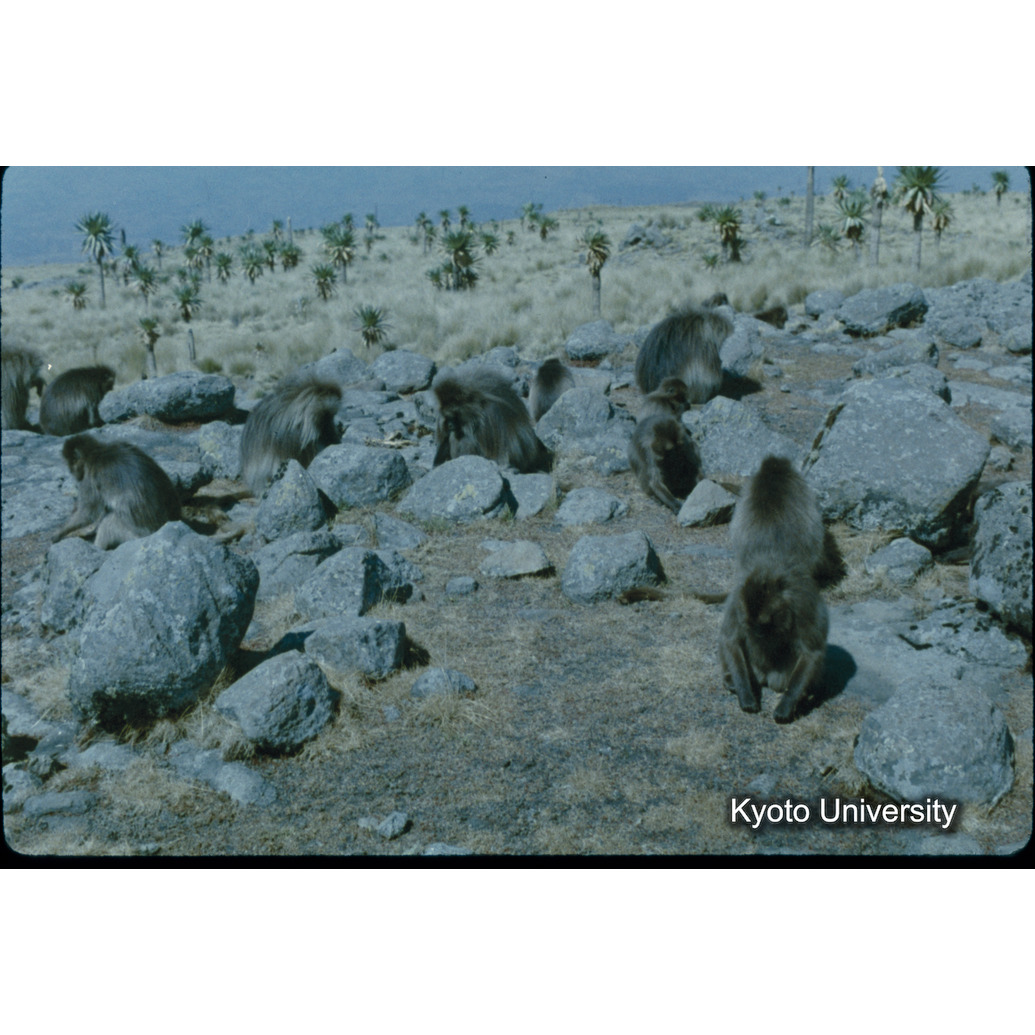 Sm　1973　10　（N）[赤色, 丸囲み] (1)