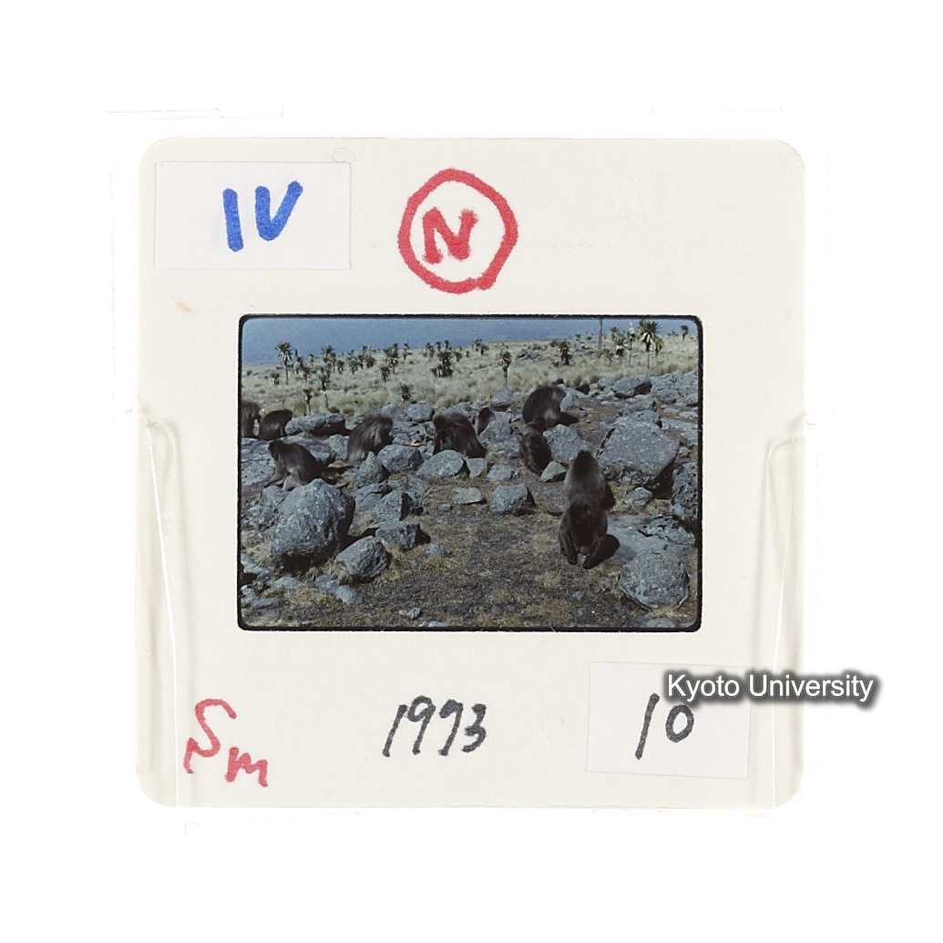 Sm　1973　10　（N）[赤色, 丸囲み] (2)