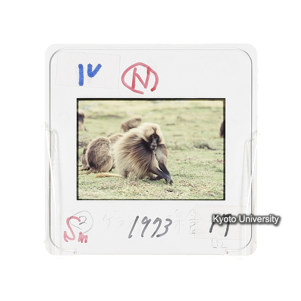 Sm　1973　17　（N）[赤色, 丸囲み] (2)