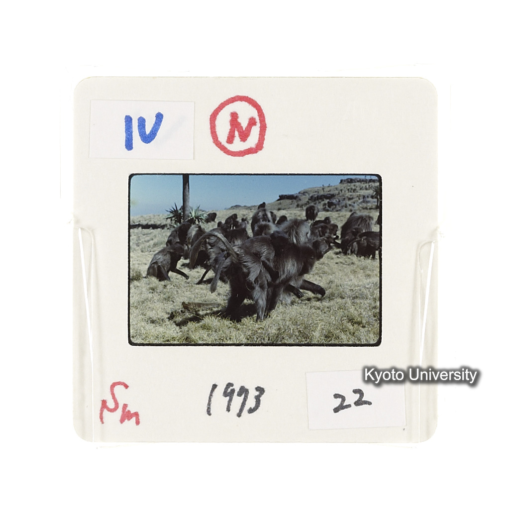 Sm　1973　22　（N）[赤色, 丸囲み] (2)