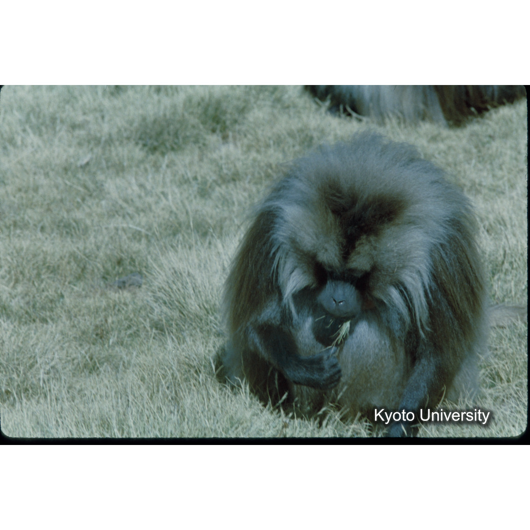 Sm　1973　30　（N）[赤色, 丸囲み] (1)