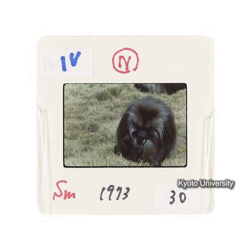 Sm　1973　30　（N）[赤色, 丸囲み] (2)