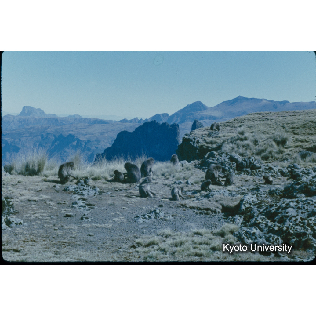 Sm　1973　34　（N）[赤色, 丸囲み] (1)