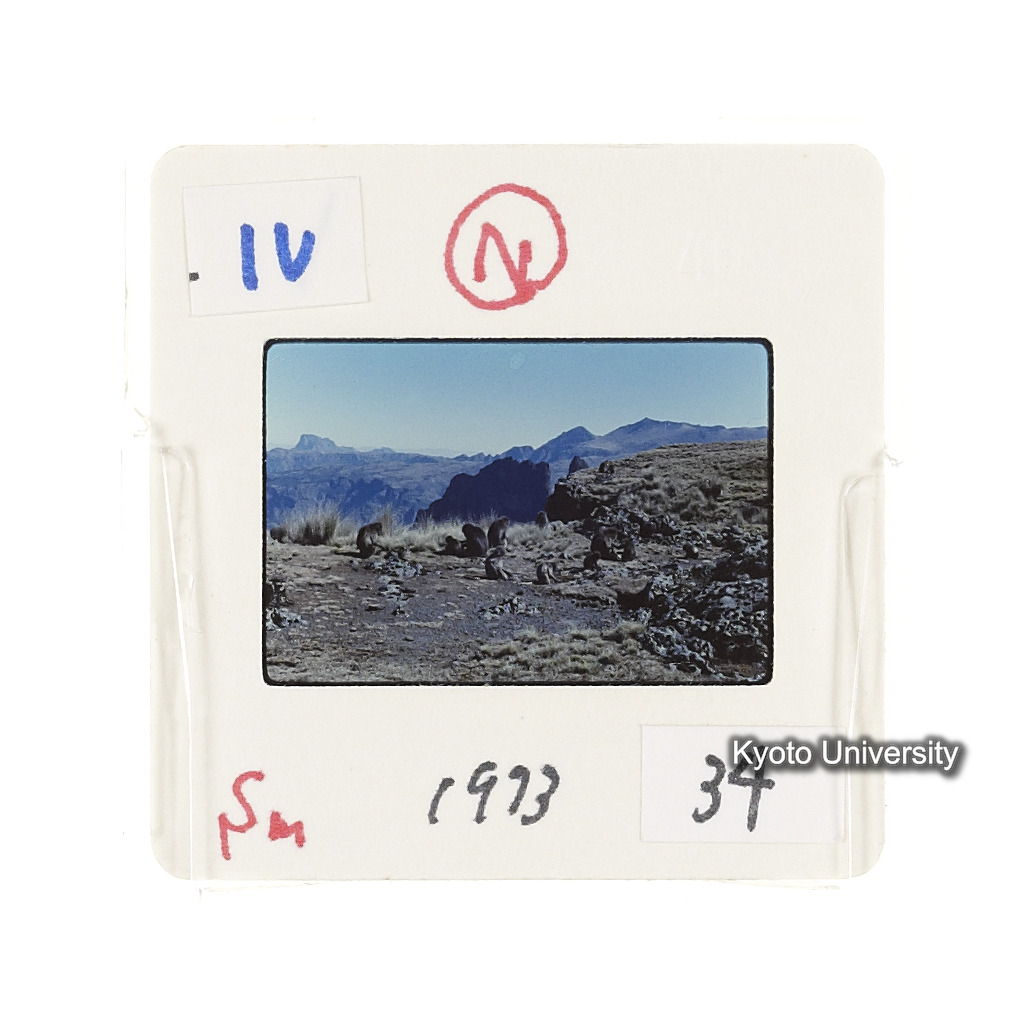 Sm　1973　34　（N）[赤色, 丸囲み] (2)