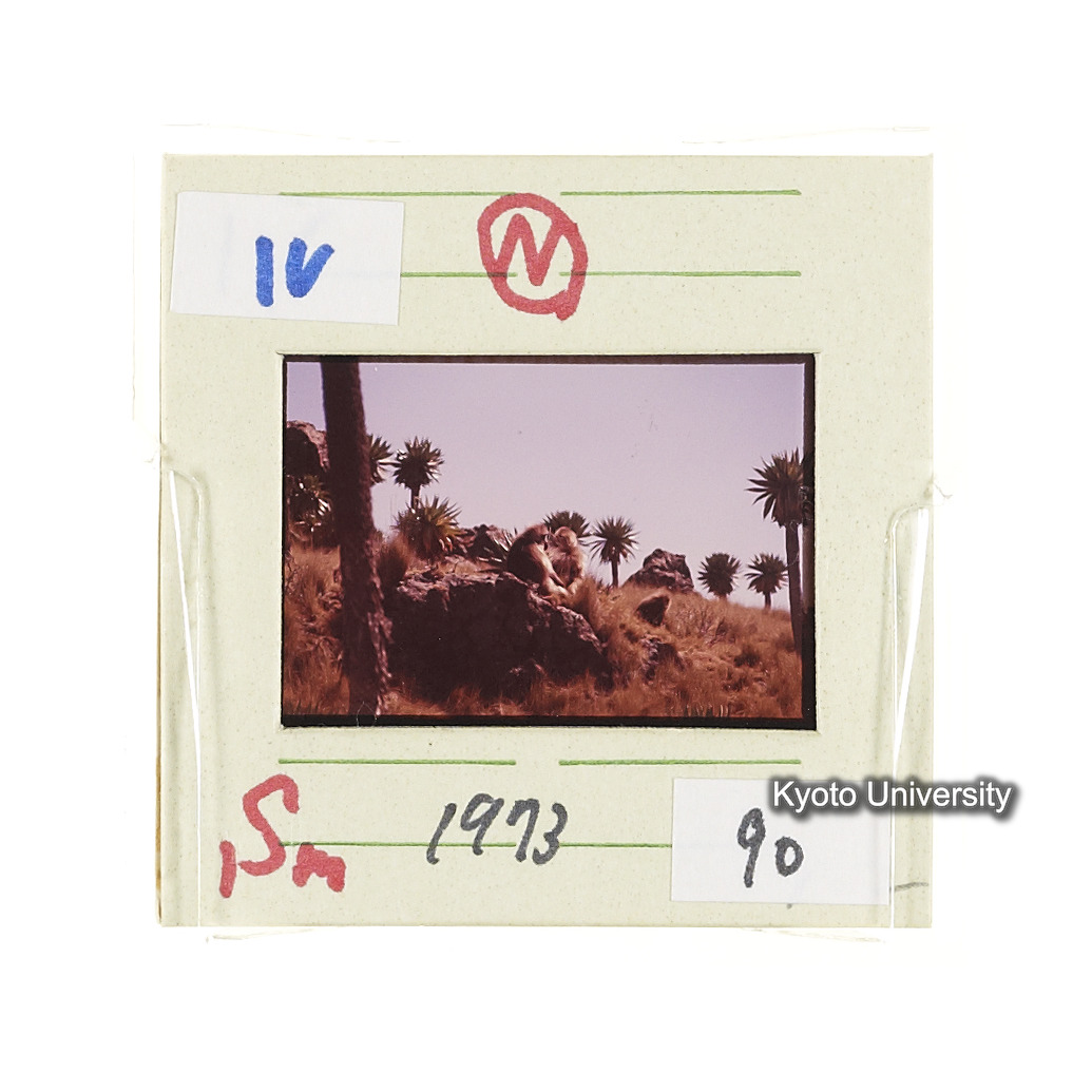 Sm　1973　90　（N）[赤色, 丸囲み] (2)