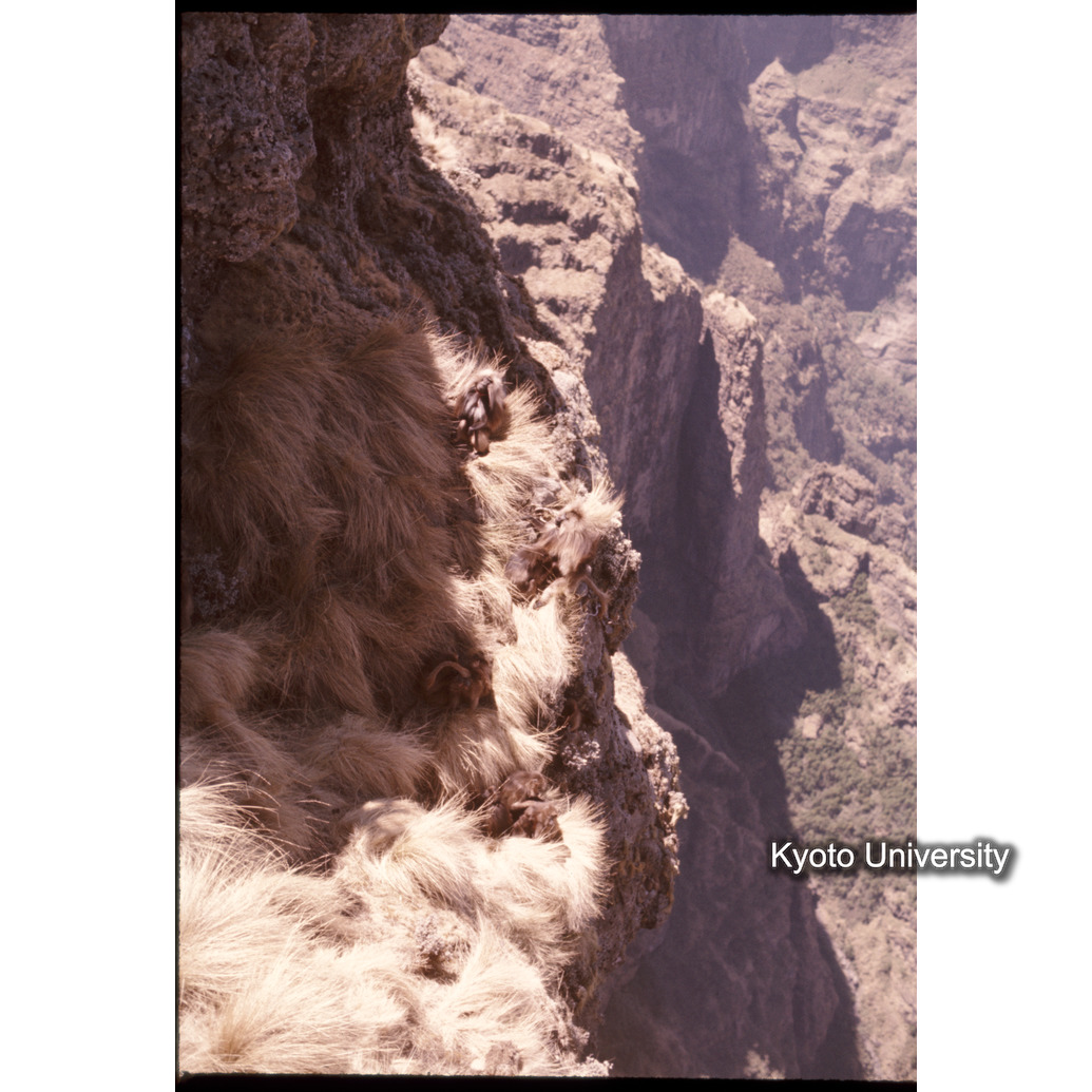 Sm　1973　91　（N）[赤色, 丸囲み] (1)