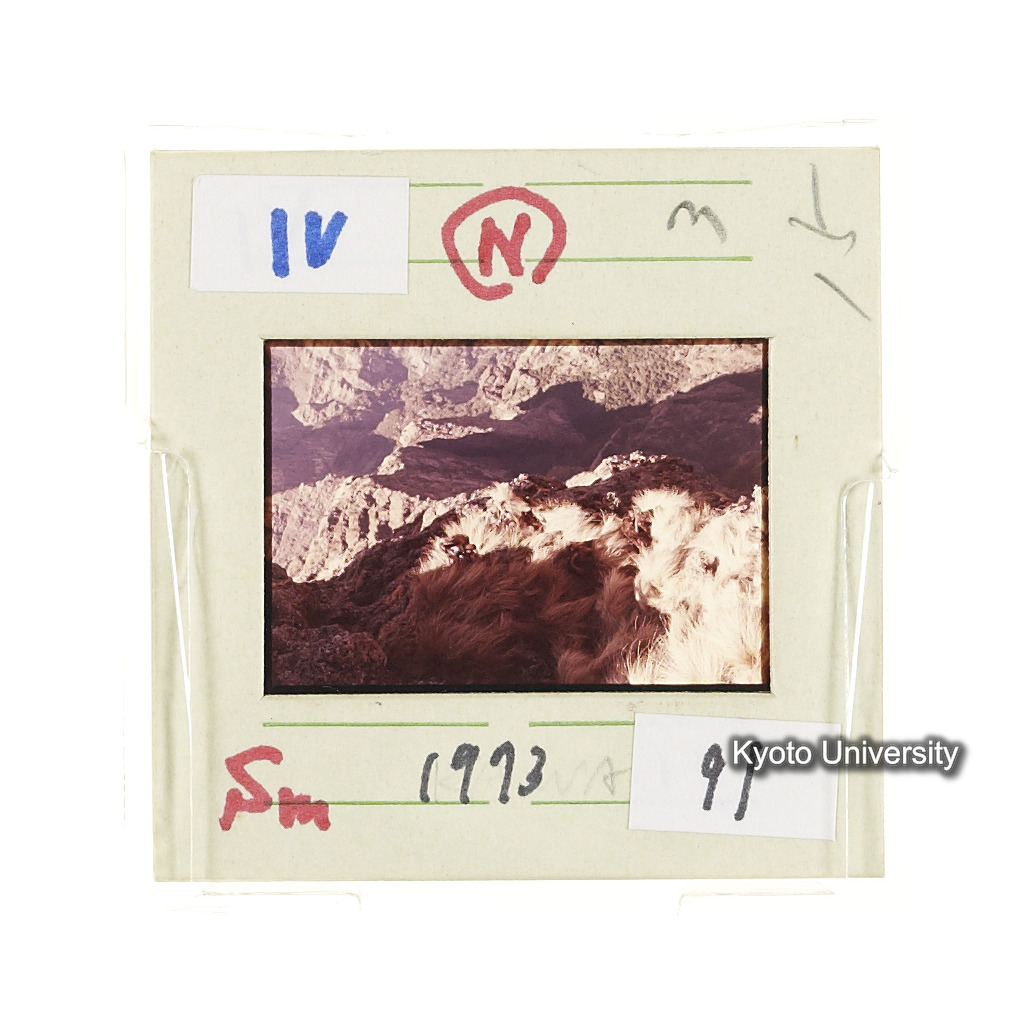 Sm　1973　91　（N）[赤色, 丸囲み] (2)