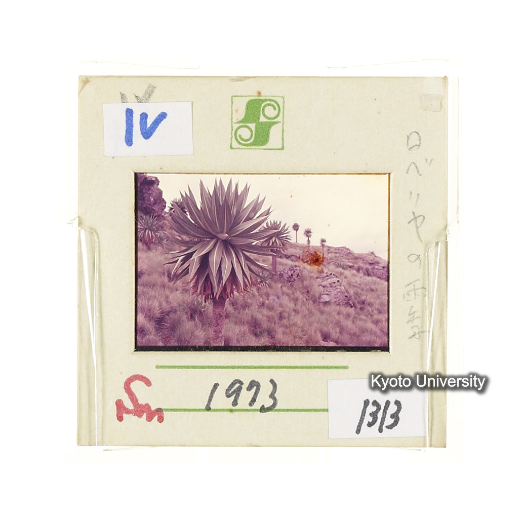 Sm　1973　1313 (2)