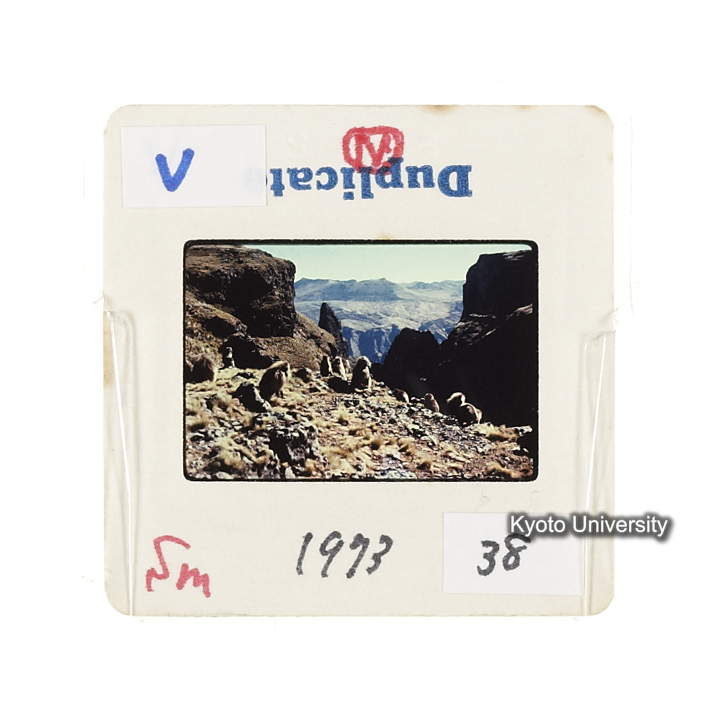 Sm　1973　38　（N）[赤色, 丸囲み] (2)