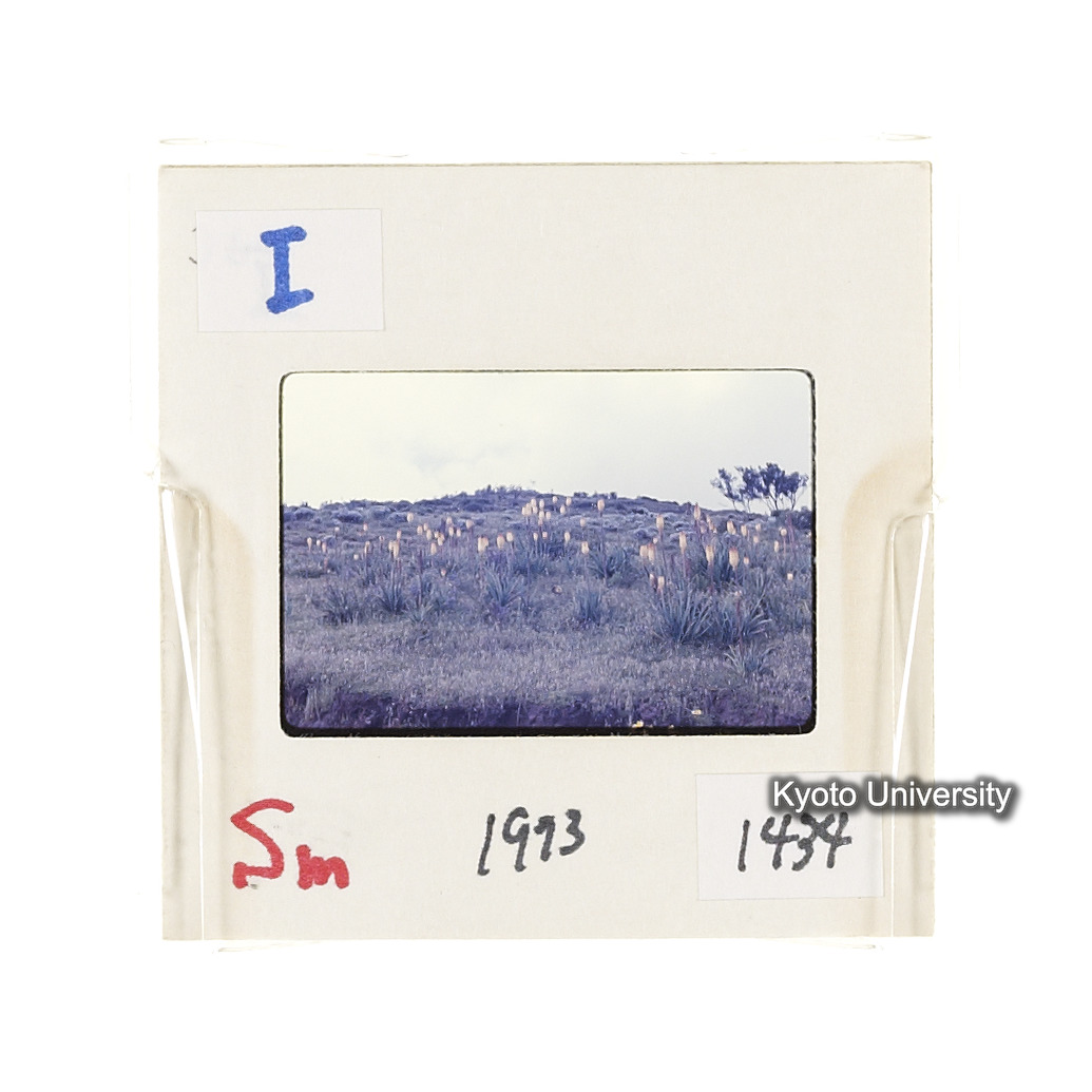 Sm　1973　1434 (2)