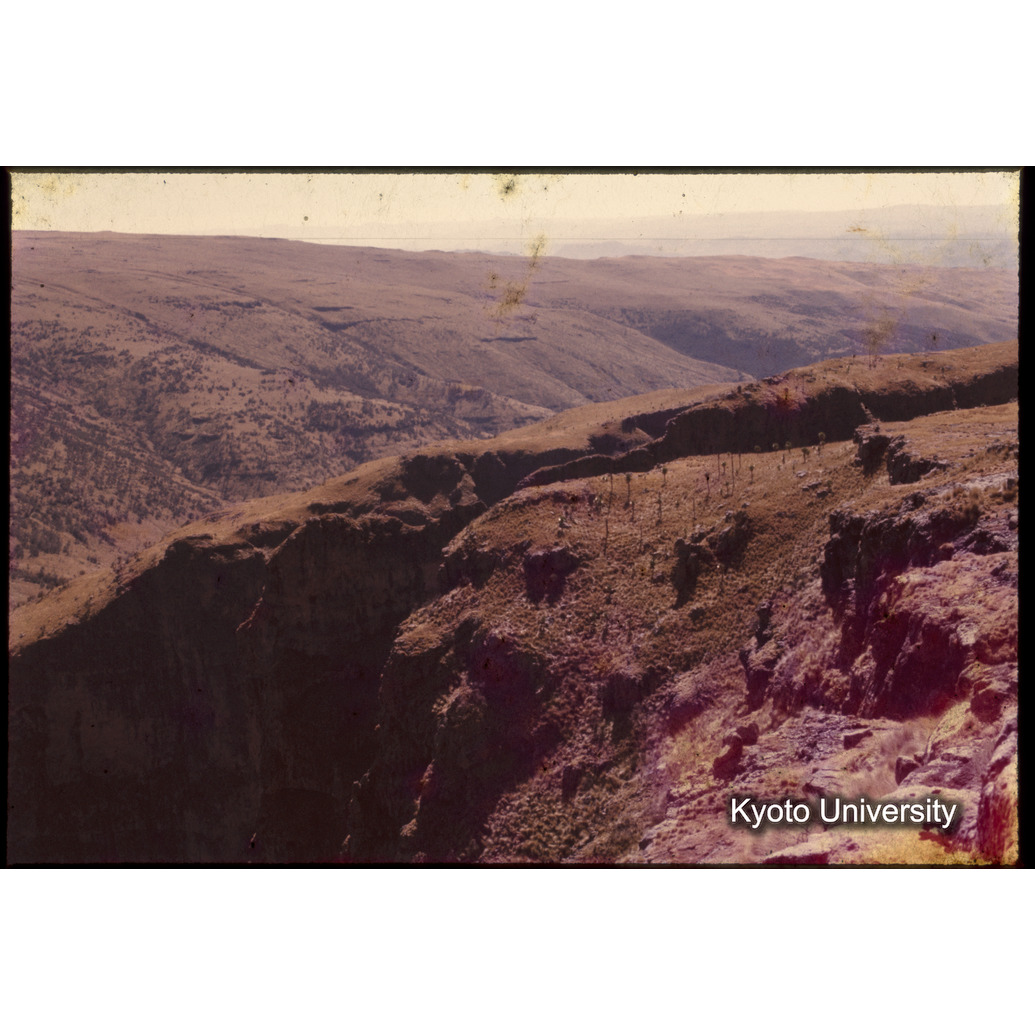 Sm　1973　1378 (1)