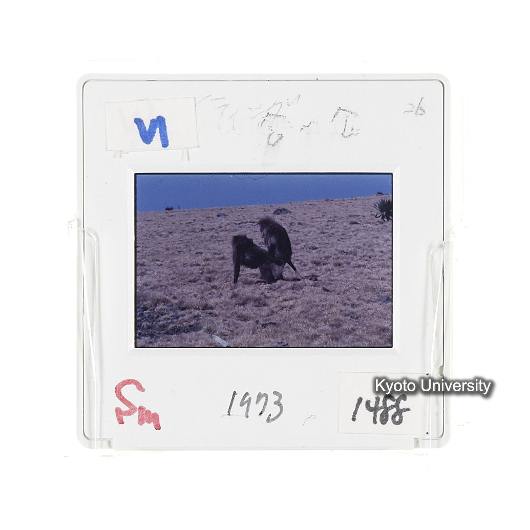 Sm　1973　1488 (2)