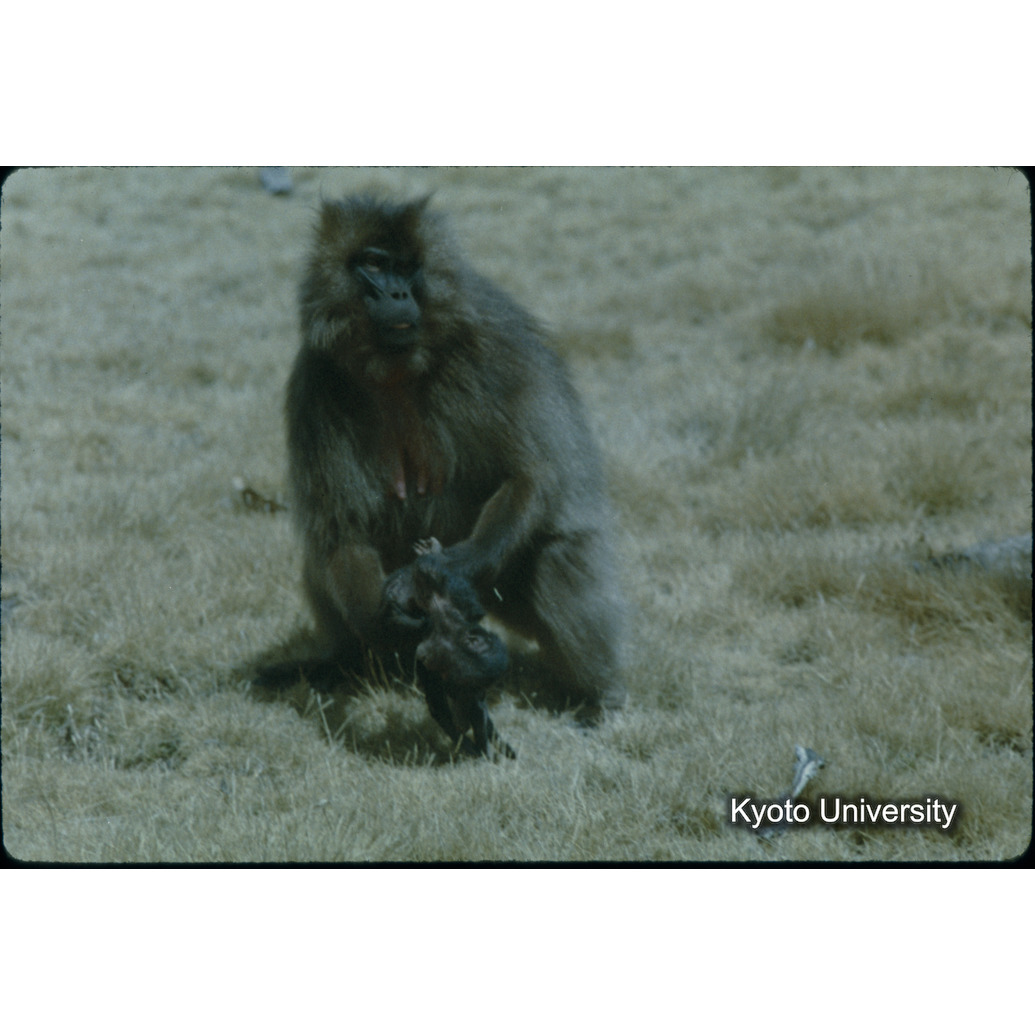 Sm　1973　63　（N）[赤色, 丸囲み] (1)