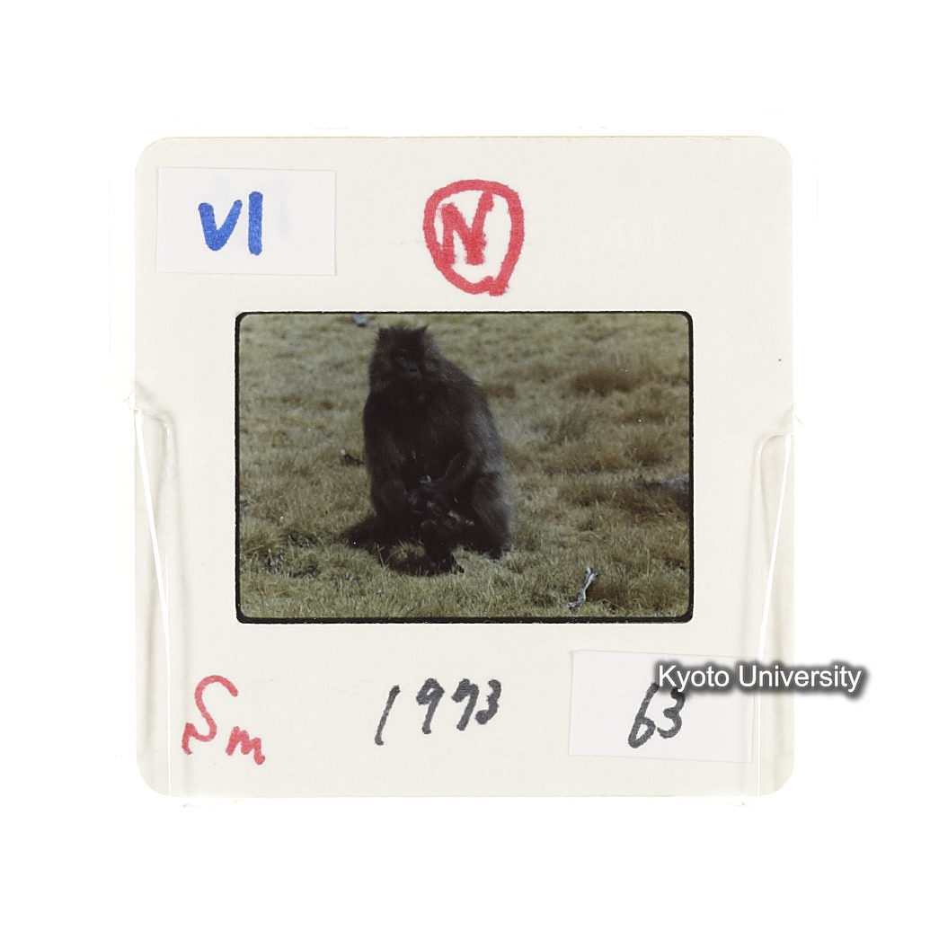 Sm　1973　63　（N）[赤色, 丸囲み] (2)